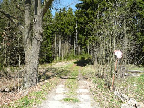 Foto 16